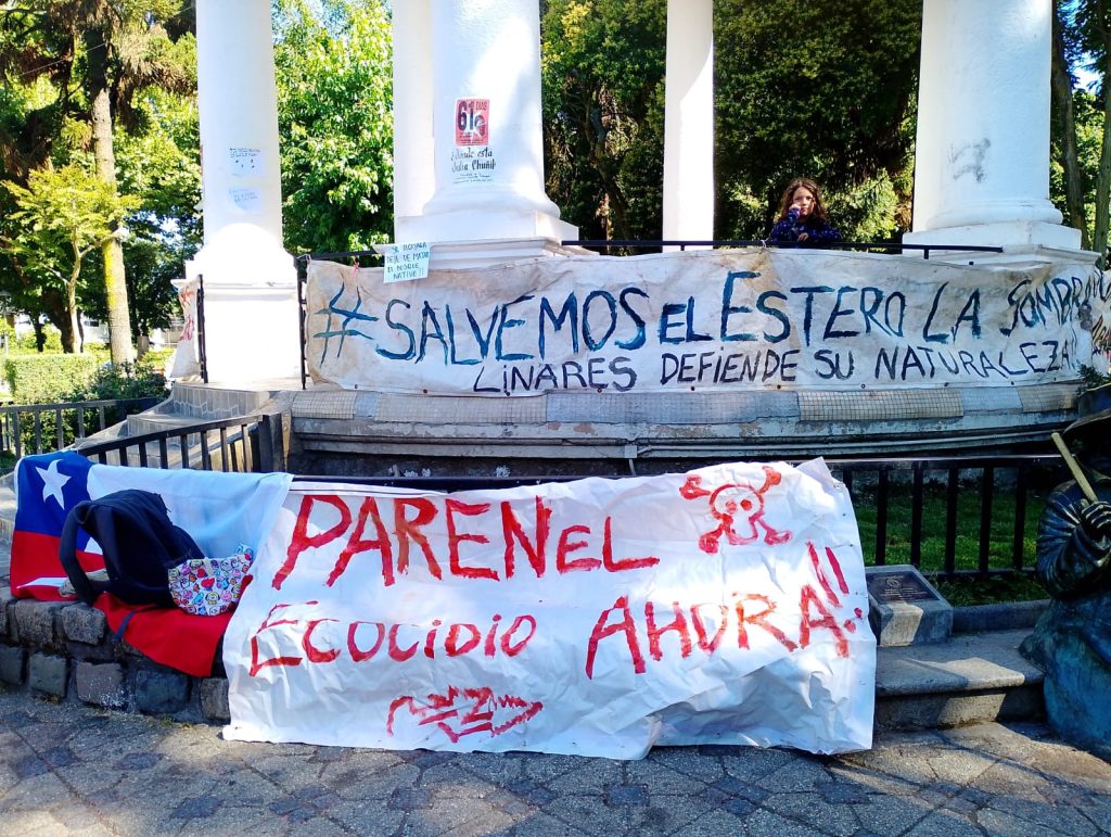 WhatsApp Image 2025-01-15 at 12.18.43