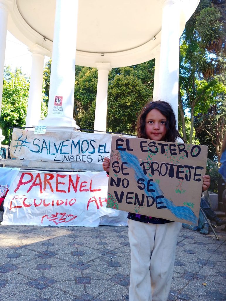 WhatsApp Image 2025-01-15 at 12.18.43(4)