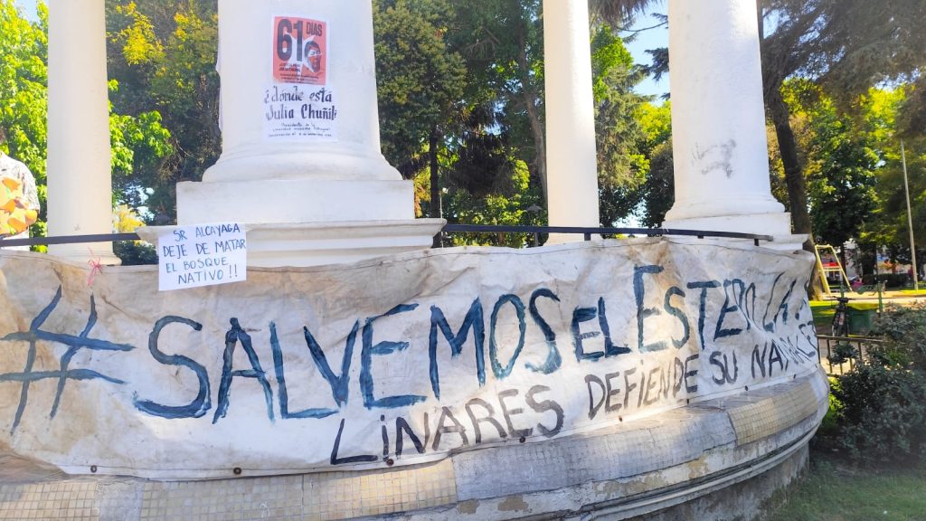 WhatsApp Image 2025-01-15 at 12.18.44(2)