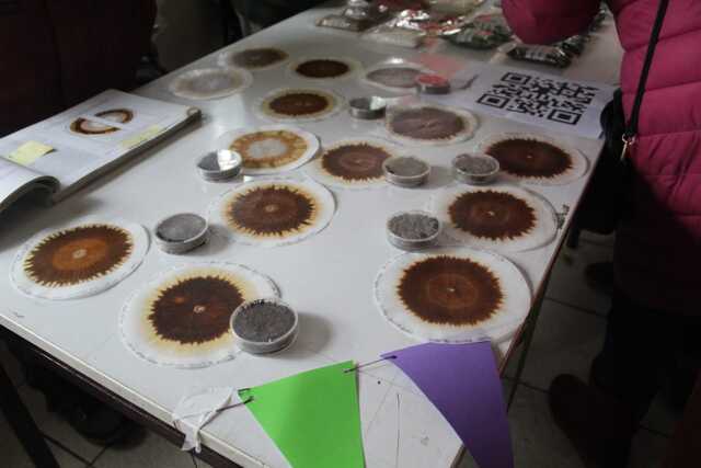 IMG-20251006-WA0035