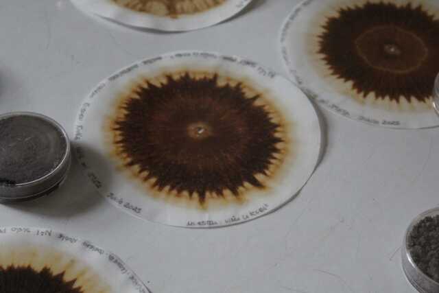 IMG-20251006-WA0043