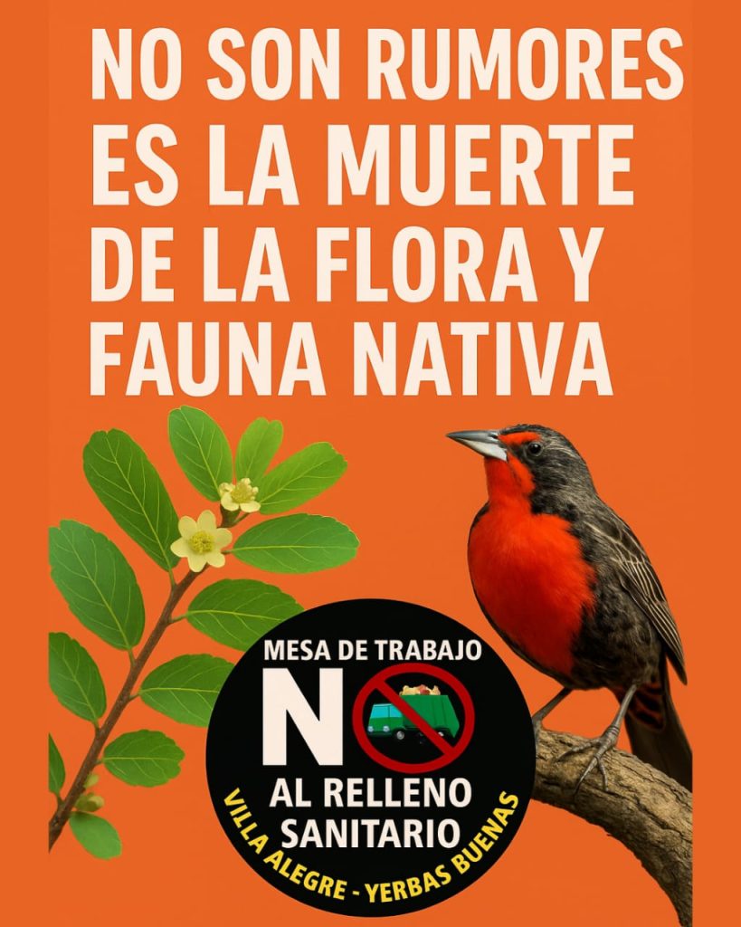 No son rummores, es la muerte de l flora y fauna nativa
