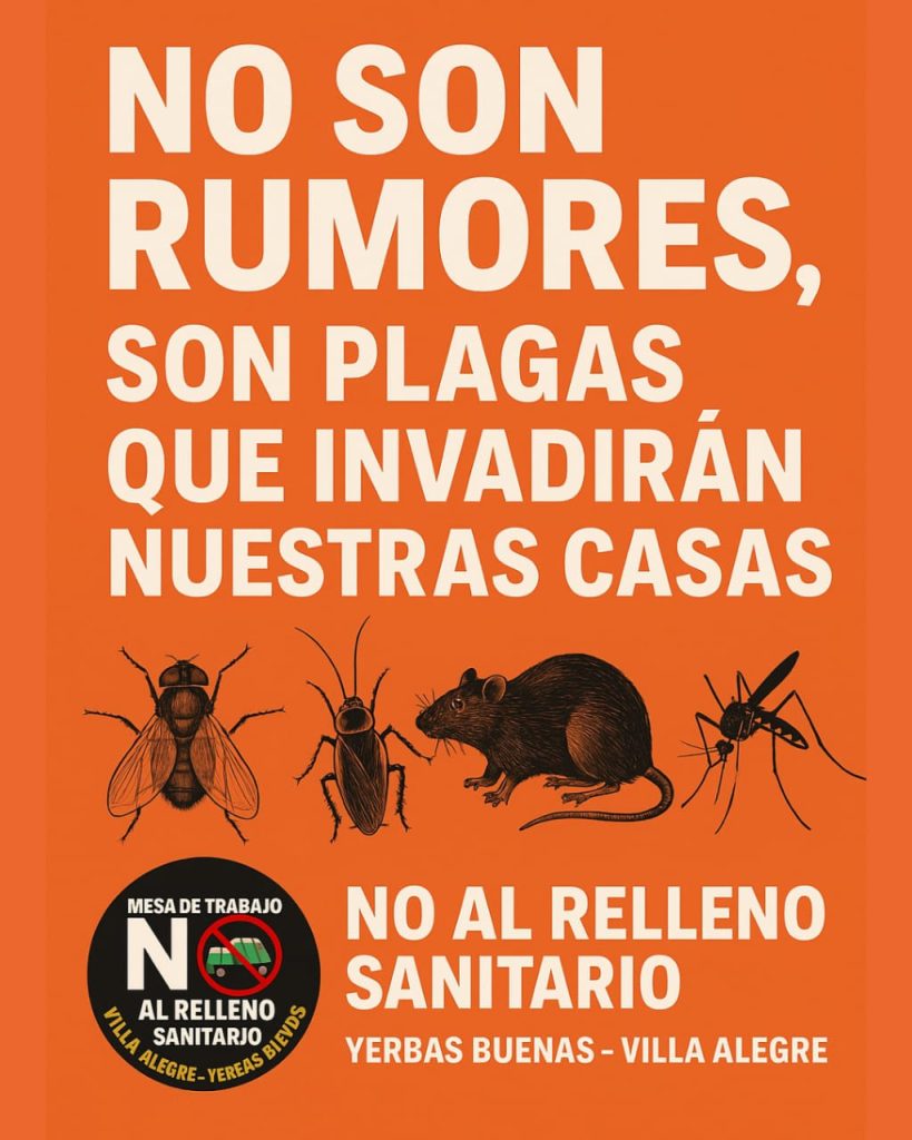 No son rummores, son plagas