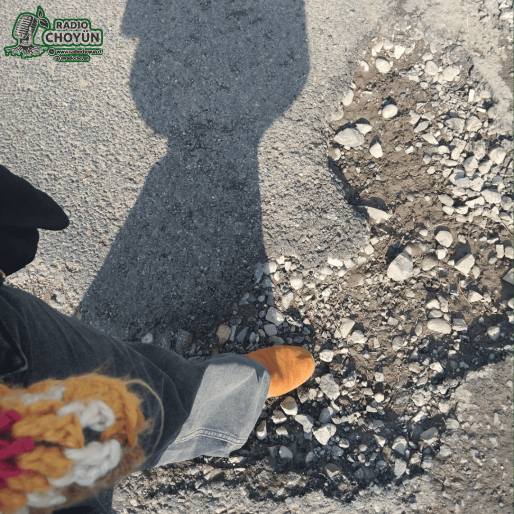 camino(1)