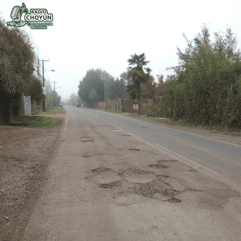 camino(2)