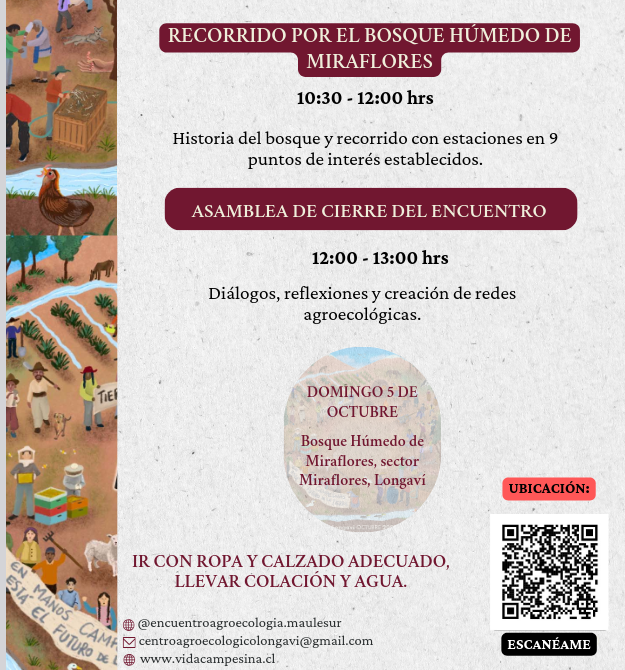 itinerario- domingo