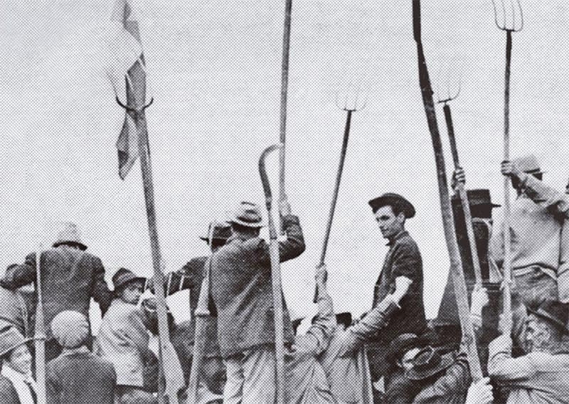WhatsApp Image 2026-07-27 at 13.08.35 (7)